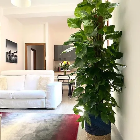 Delonix Regia Apartment